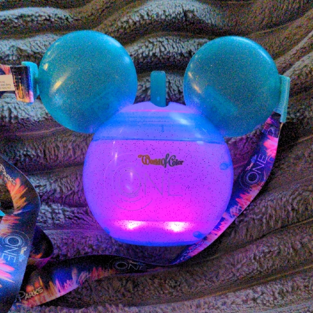 Disney Park Drink Souvenir